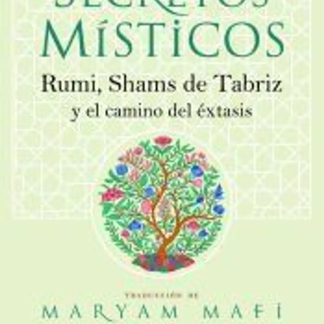 El pequeño libro de los secretos místicos 1