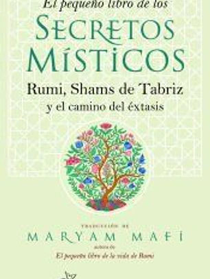 El pequeño libro de los secretos místicos