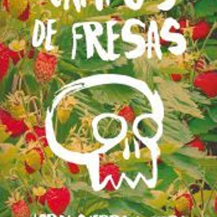 Campos de fresas 1