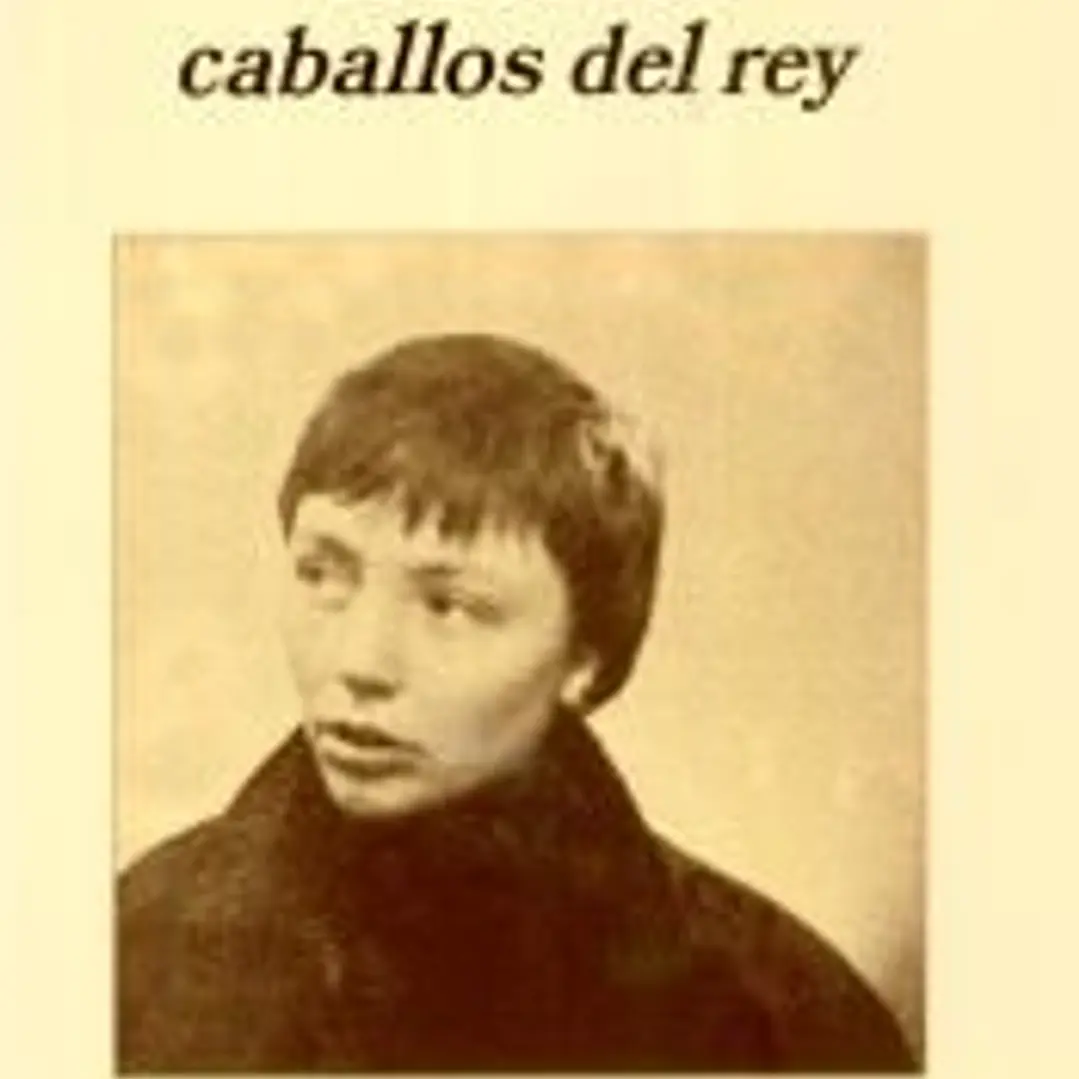Todos los caballos del rey 1