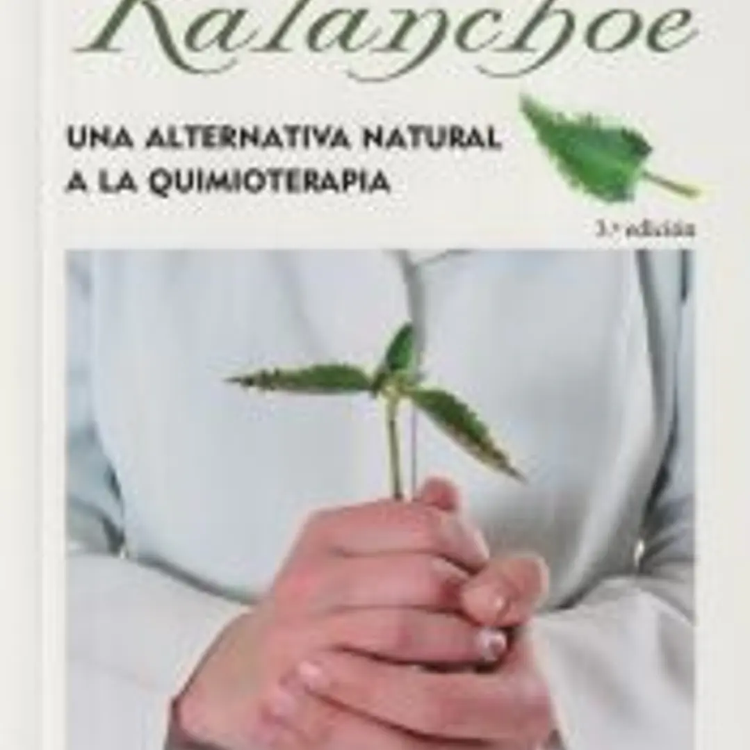 El Kalanchoe: una medicina alternativa a la quimioterapia 1