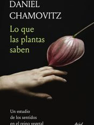 Lo que las plantas saben: un estudio de los sentidos en el reino vegetal