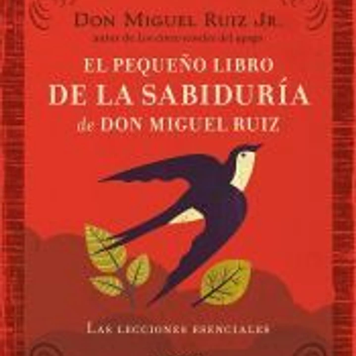 El pequeño libro de la sabiduría de Don Miguel Ruiz 1