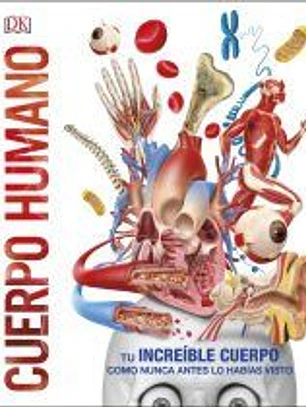Cuerpo humano