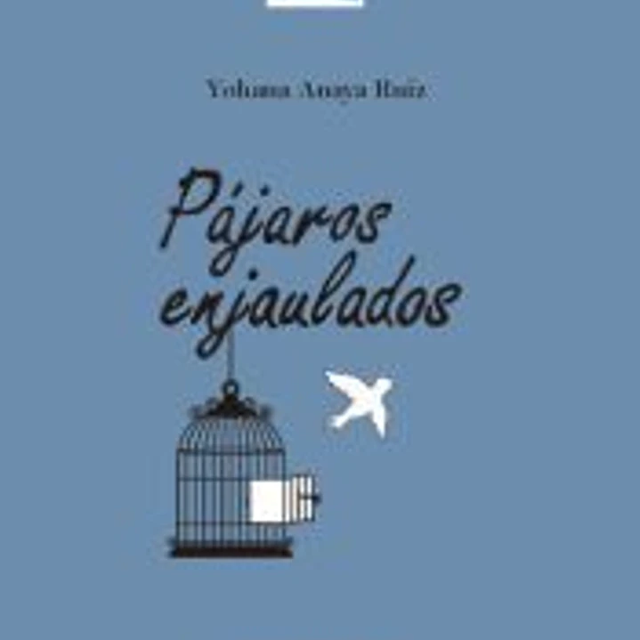 Pájaros enjaulados 1