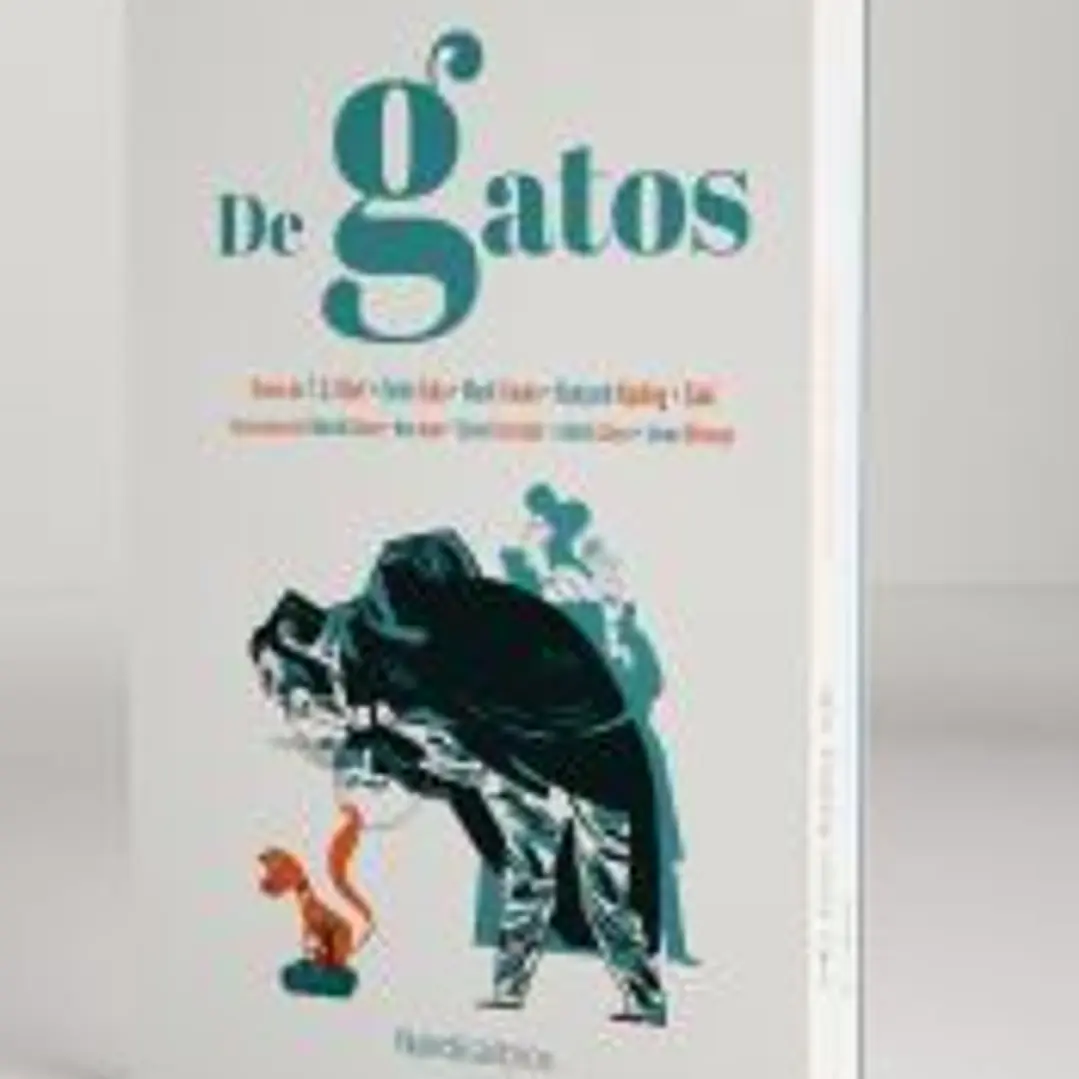 Estuche de Gatos 1