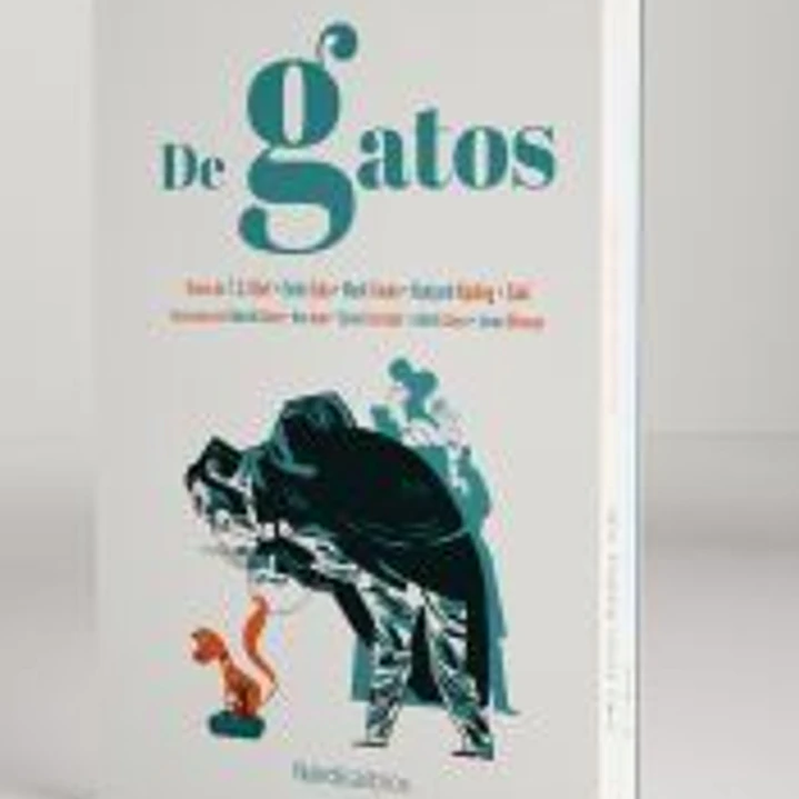 Estuche de Gatos 1