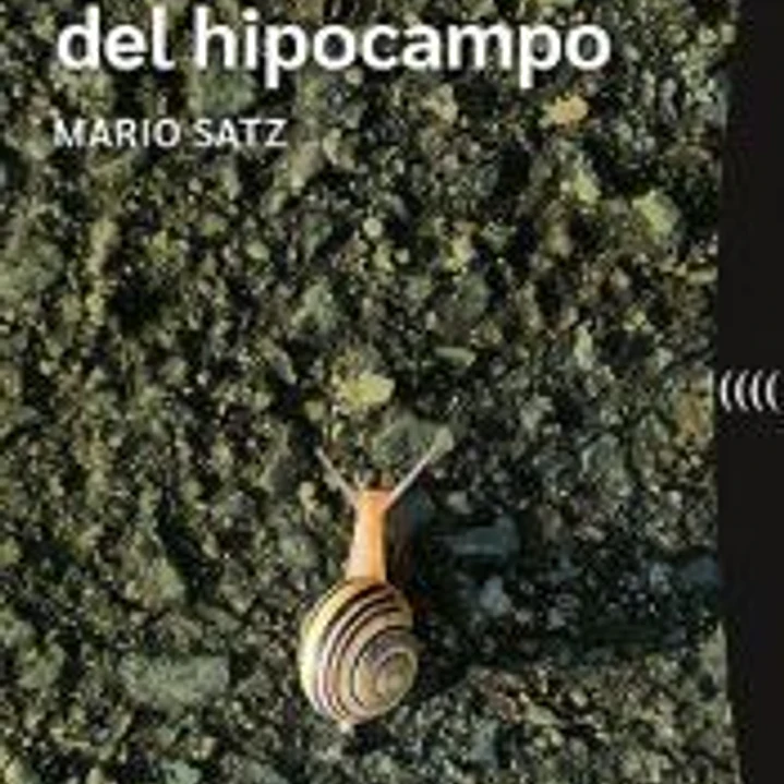 El instante del hipocampo 1