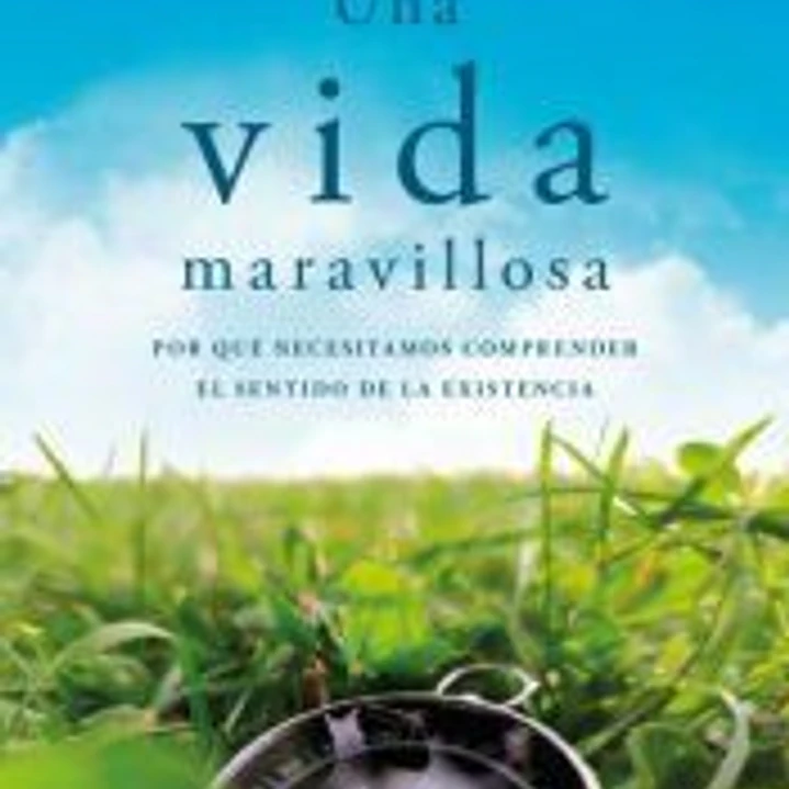 Una vida maravillosa 1