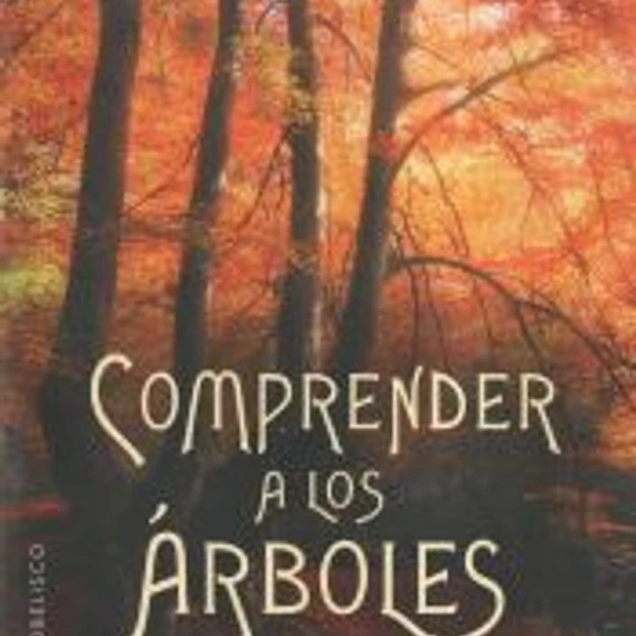 COMPRENDER A LOS ÁRBOLES 1