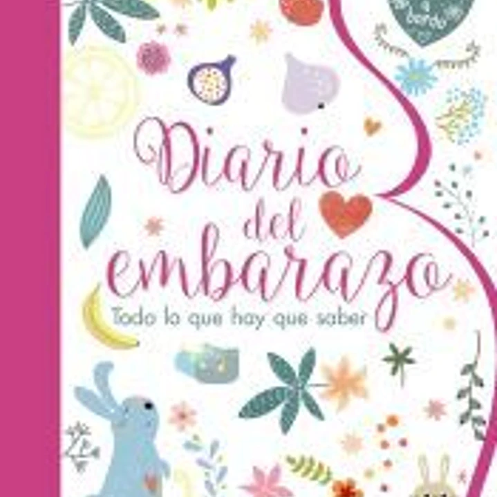 Diario del embarazo. Todo lo que hay que saber 1