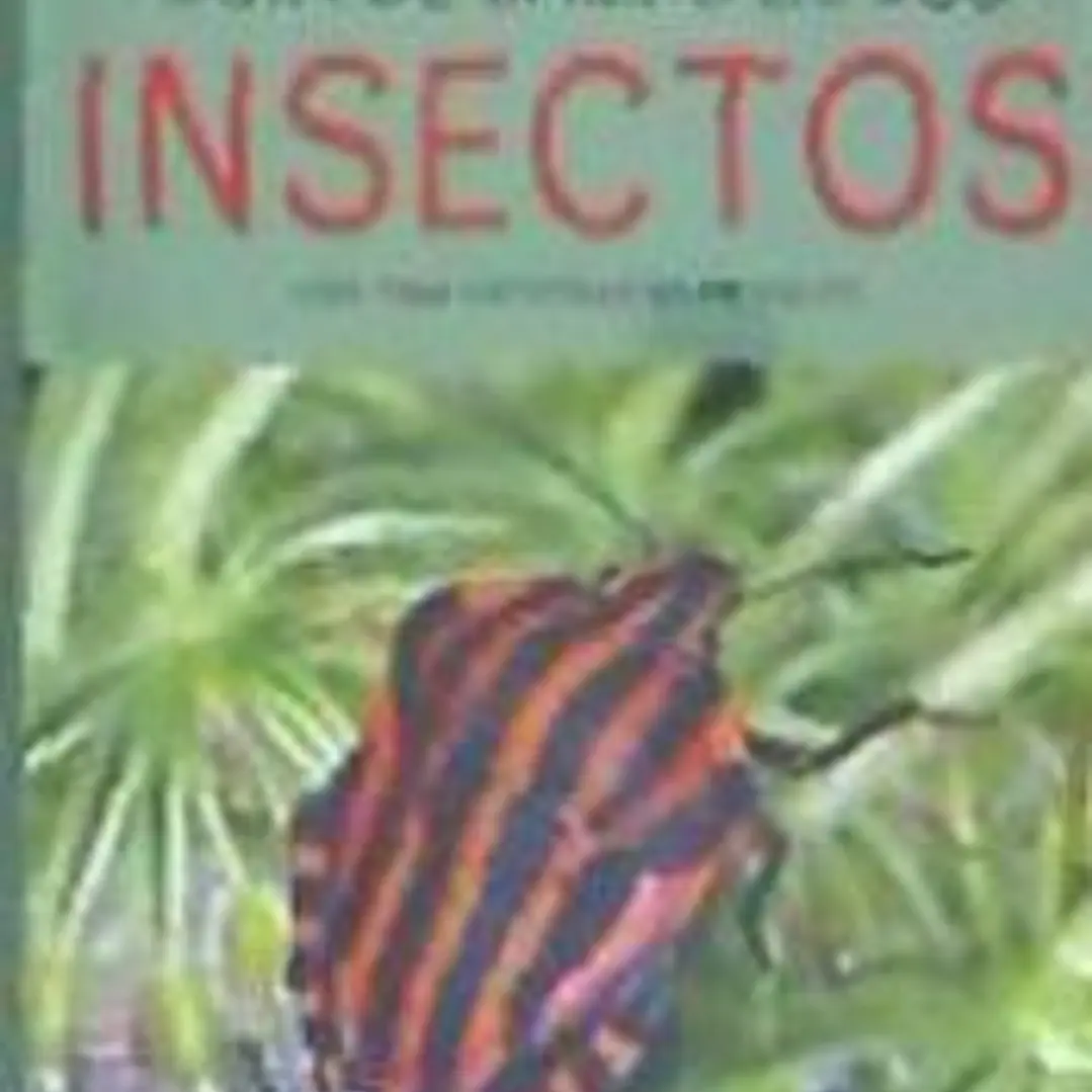 Guía de campo de los insectos 1
