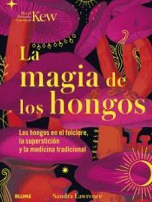 Magia de los hongos