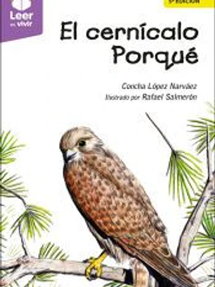 El cernícalo porqué