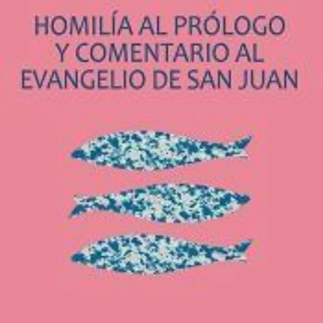 HOMILIA AL PROLOGO Y COMENTARIO AL EVANGELIO DE SAN JUAN 1