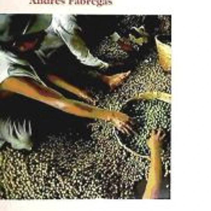 Chiapas 1