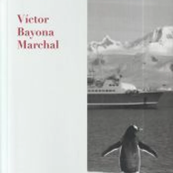 El año del renacuajo 1