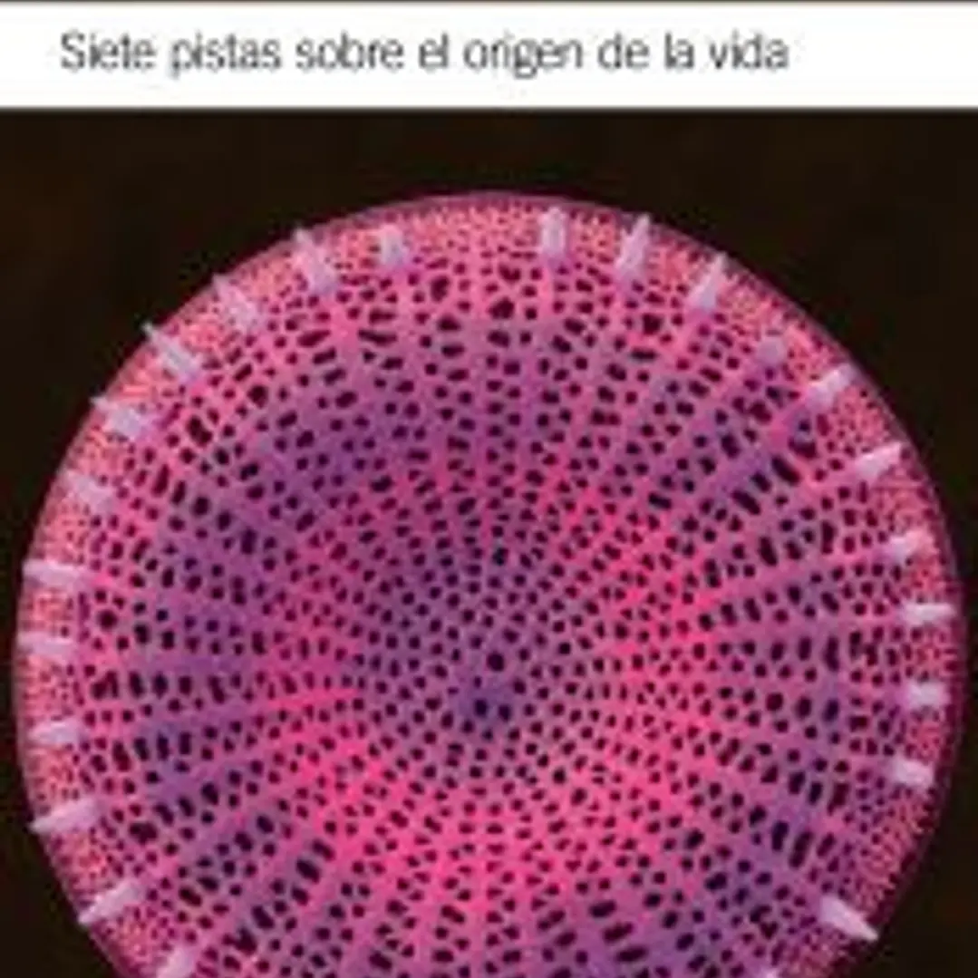 Siete pistas sobre el origen de la vida 1