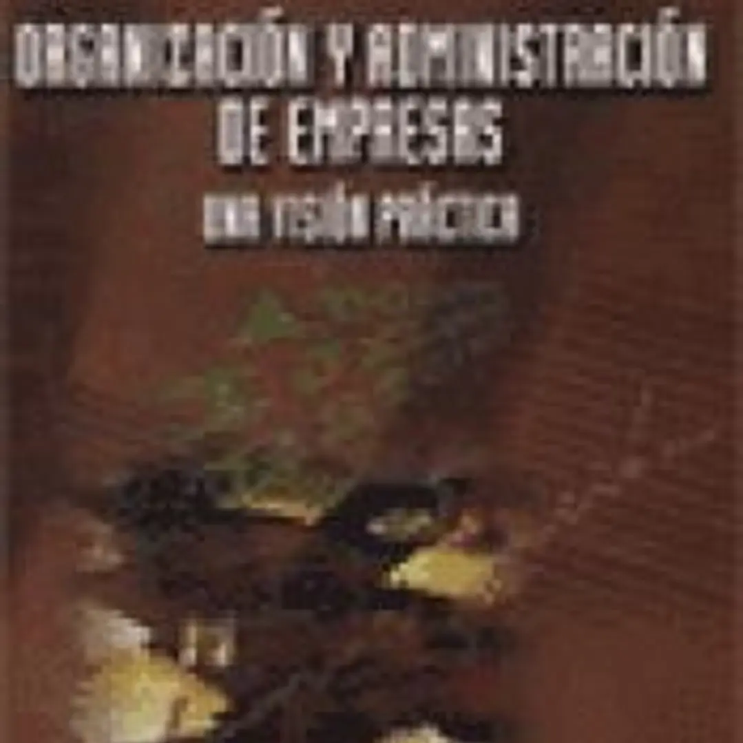 Organización y administración de empresas 1