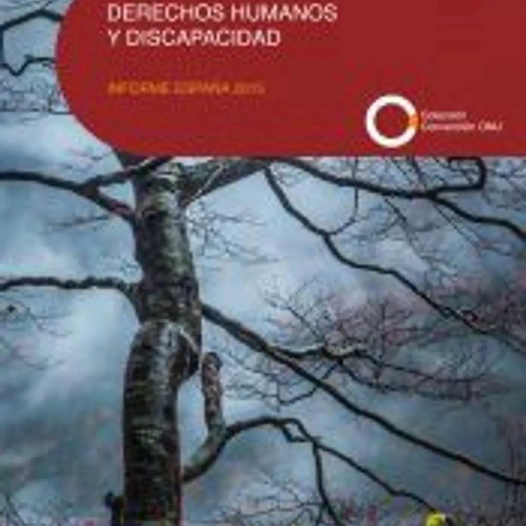 DERECHOS HUMANOS Y DISCAPACIDAD. Informe España 2015 1