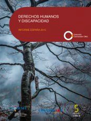 DERECHOS HUMANOS Y DISCAPACIDAD. Informe España 2015