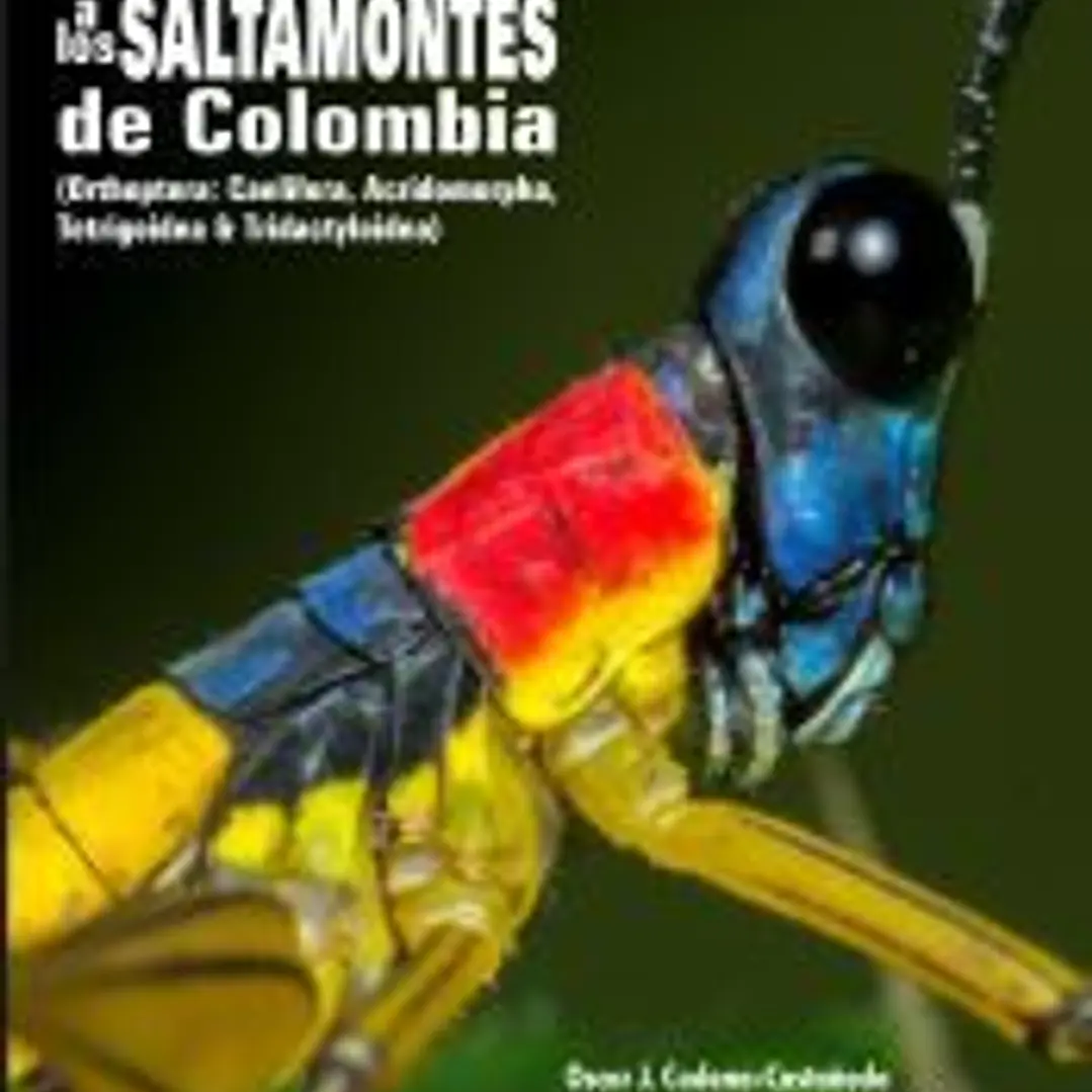 Introduccion a los saltamontes de Colombia 1