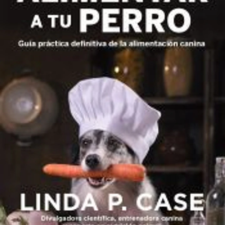 Cómo alimentar a tu perro 1