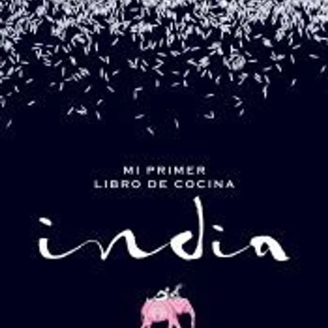 Mi primer libro de cocina india 1