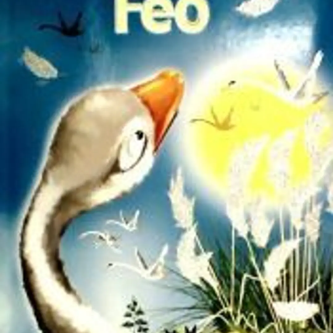 PATITO FEO - CUENTOS CLASICOS 1