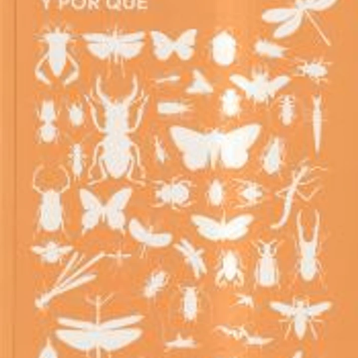 Qué hacen los insectos y por qué 1