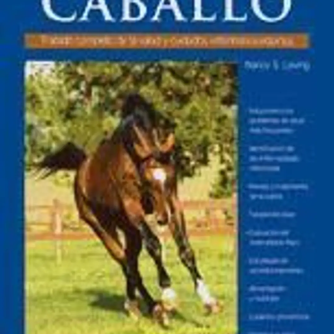 Todos los sistemas del caballo 1