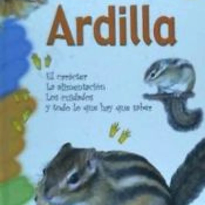 MI ARDILLA 1