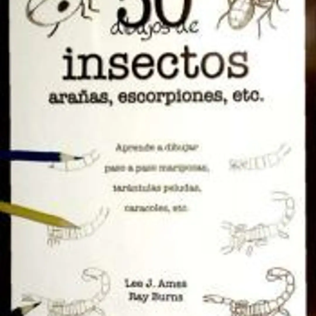 50 DIBUJOS DE INSECTOS 1