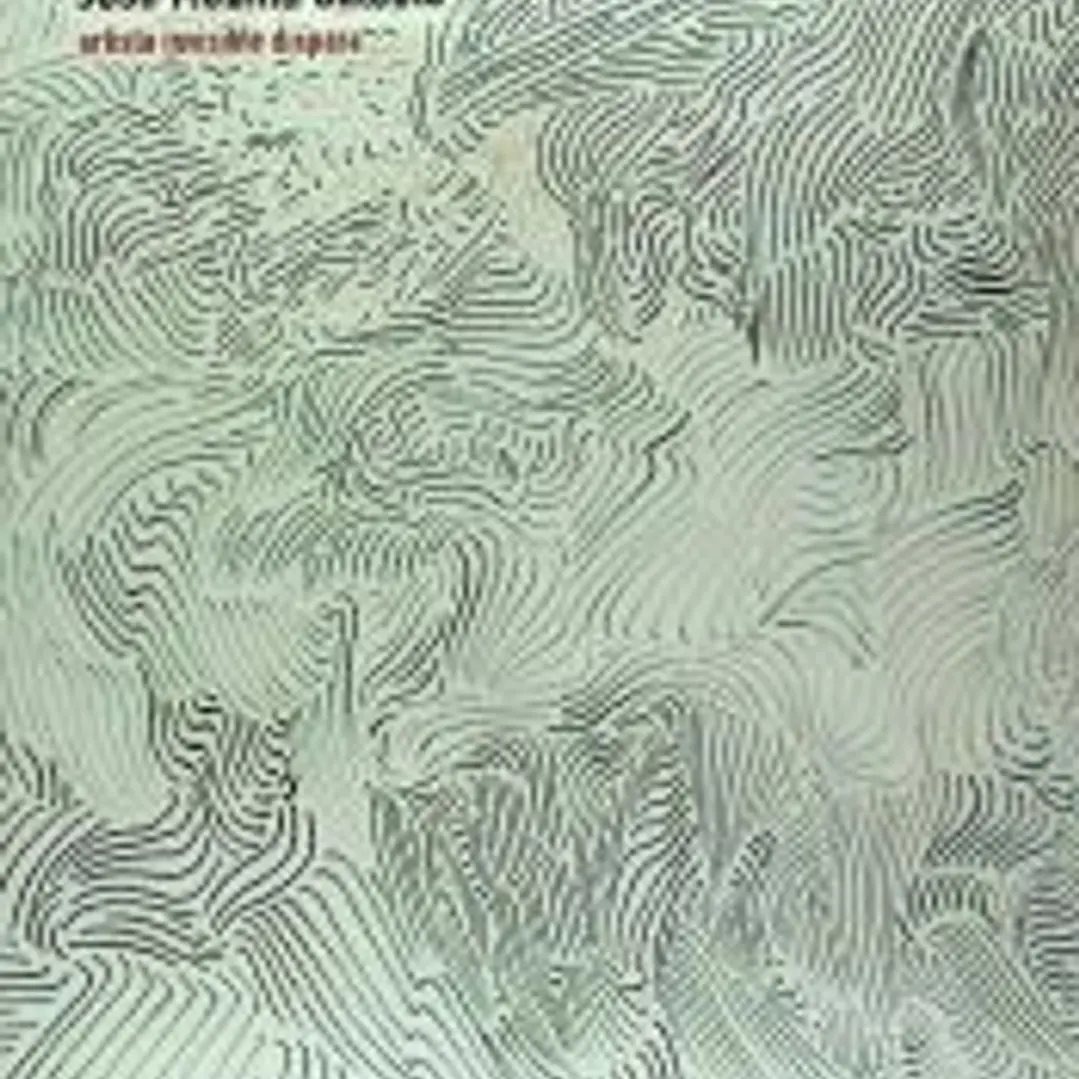 José Medina Galeote. Artista invisible dispara 1