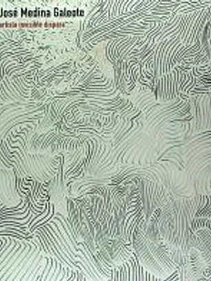 José Medina Galeote. Artista invisible dispara