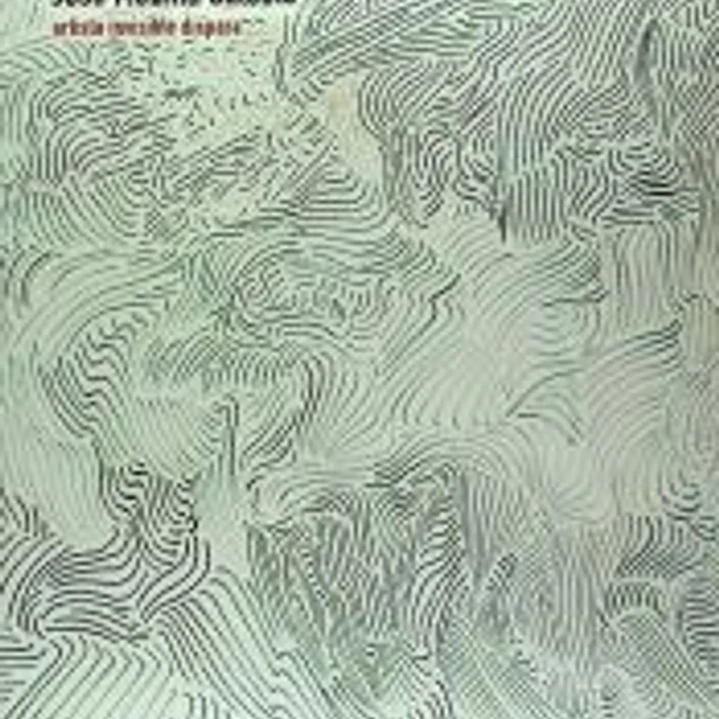 José Medina Galeote. Artista invisible dispara 1