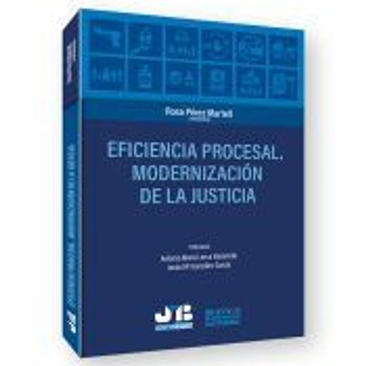 Eficiencia procesal. Modernización de la Justicia 1
