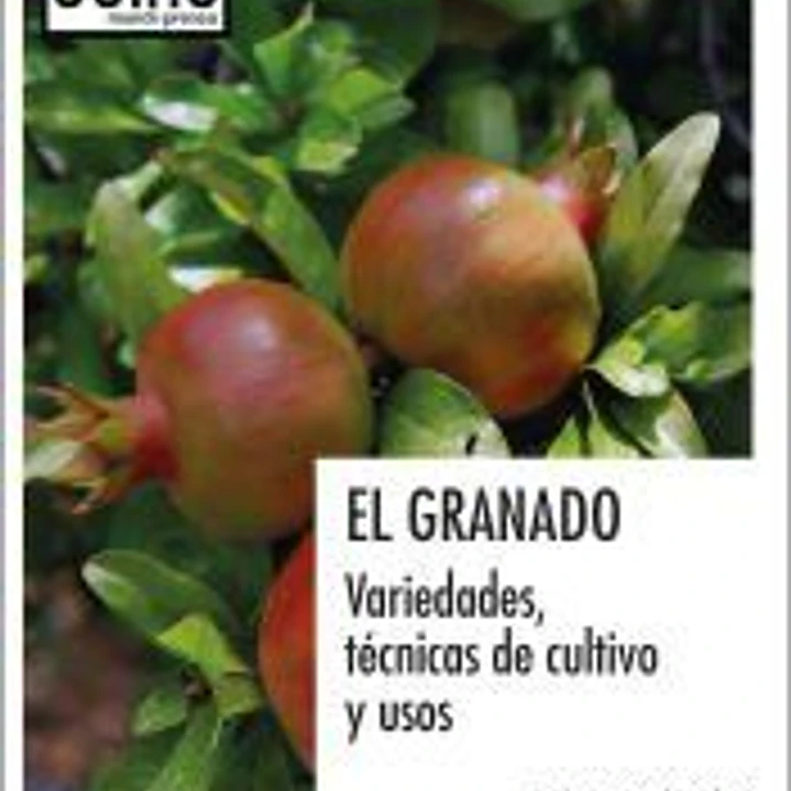 El granado. Variedades, técnicas de cultivo y usos 1
