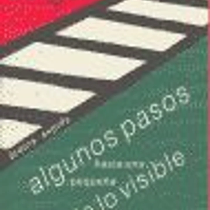 ALGUNOS PASOS. HACIA PEQUEÑA TEORIA VISIBLE 1