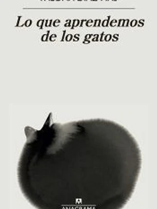 Lo que aprendemos de los gatos