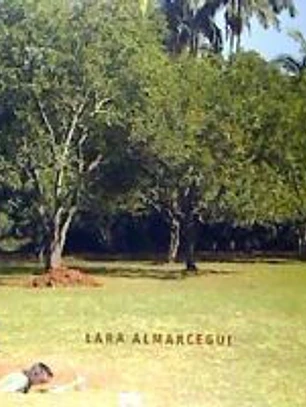 Lara Almarcegui: materiales de contrucción