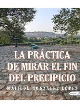 LA PRACITCA DE MIRAR AL FIN DEL PRECIPICIO