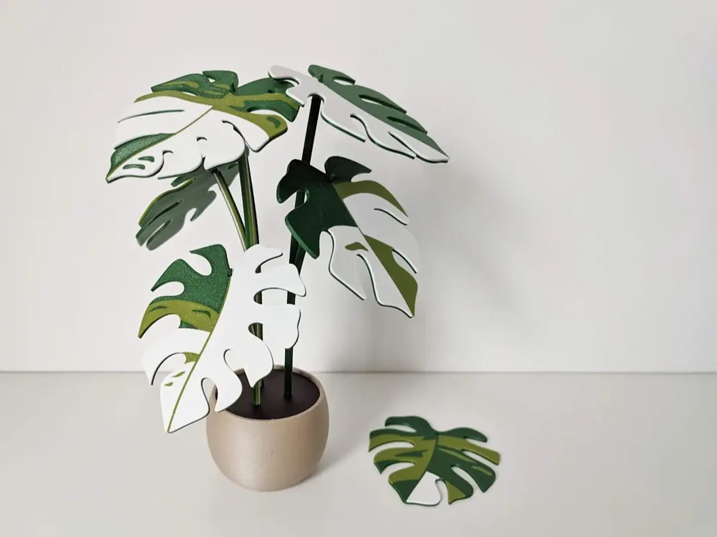 Posa Vasos Estilo planta Monstera  2