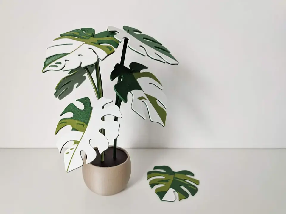 Posa Vasos Estilo planta Monstera  2