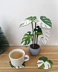 Posa Vasos Estilo planta Monstera  - Miniatura 4