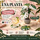 Posa Vasos Estilo planta Monstera  - Miniatura 1