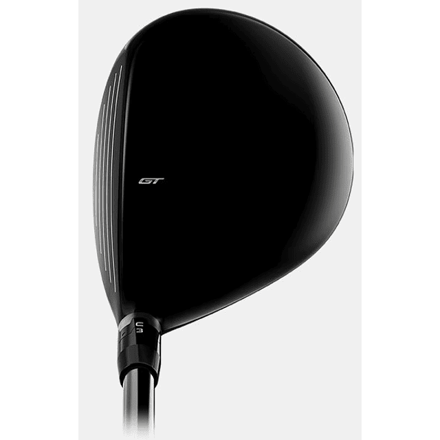 Fairway GT2 21° Tensei Blue Regular