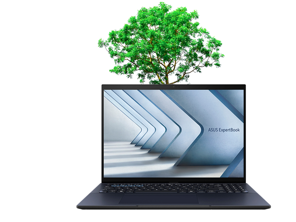 ASUS Expertbook B3604CVF-Q90910X, Pantalla 16