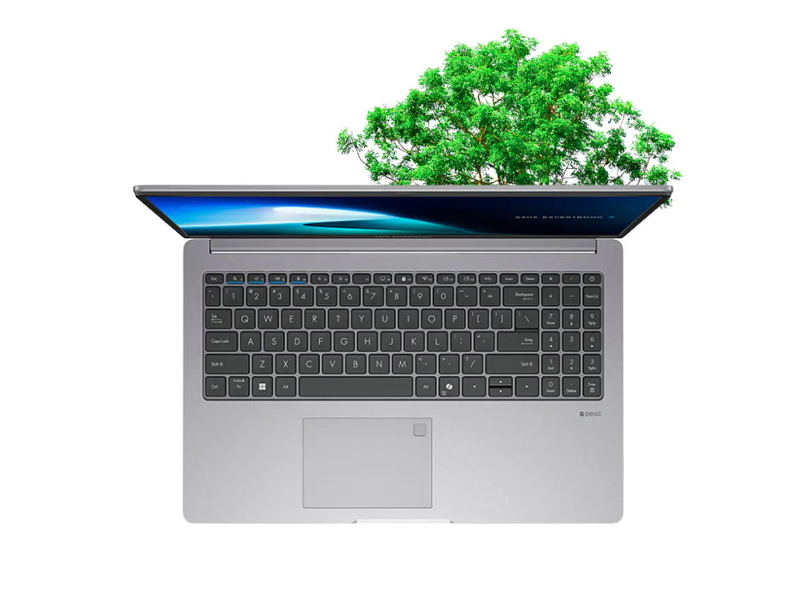 ASUS ExpertBook P1, Pantalla 15.6