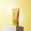 Innisfree Intensive Long Lasting Sunscreen EX